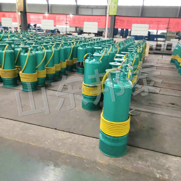 BQS90KW礦用隔爆污水攪拌泵.jpg