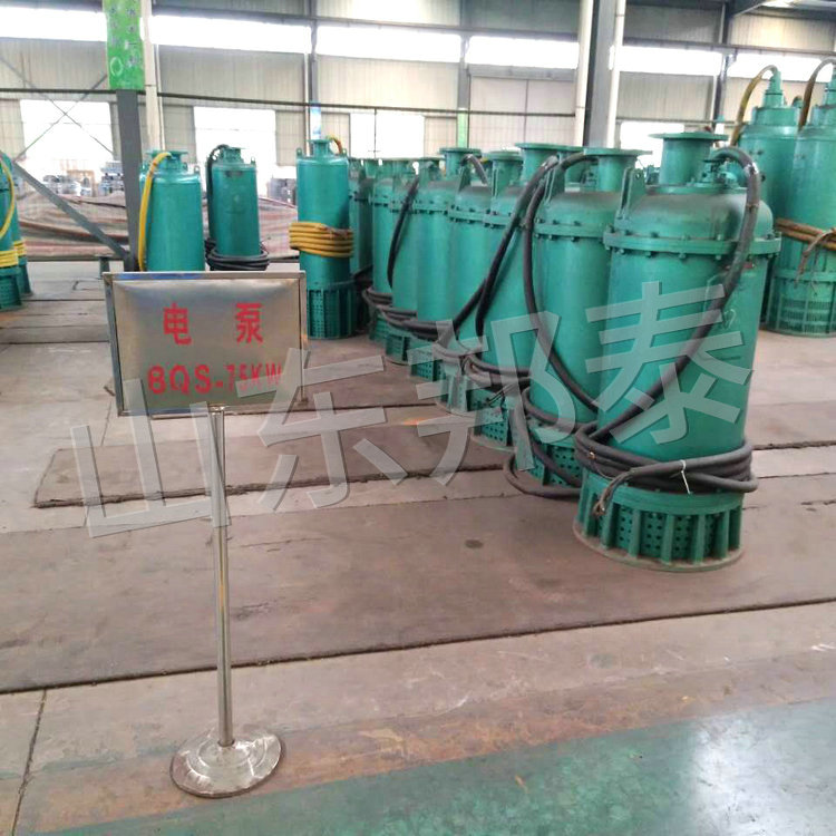 BQS75KW內裝式煤礦排污排沙電泵.jpg